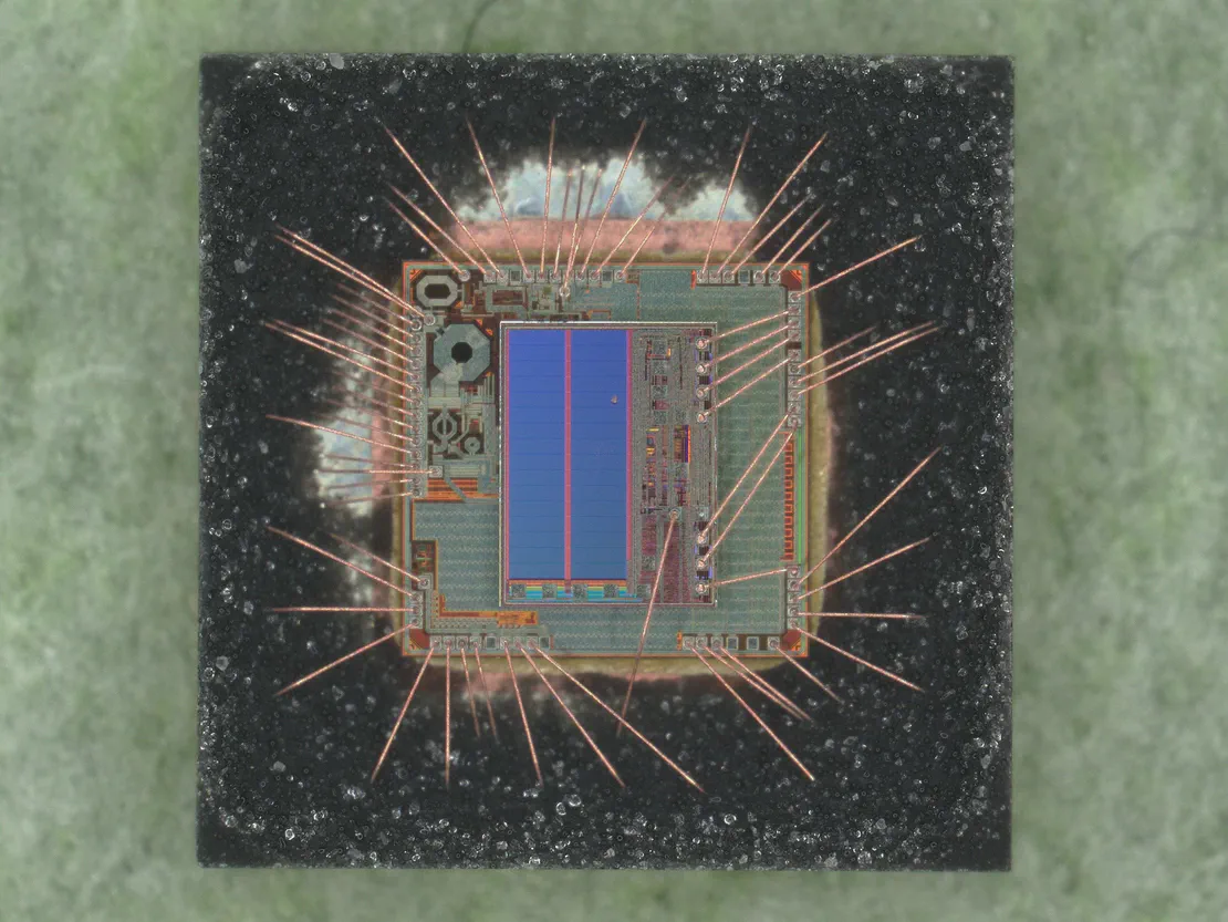 CPU Silicon Security Research and Fuzzing (RISC-V)